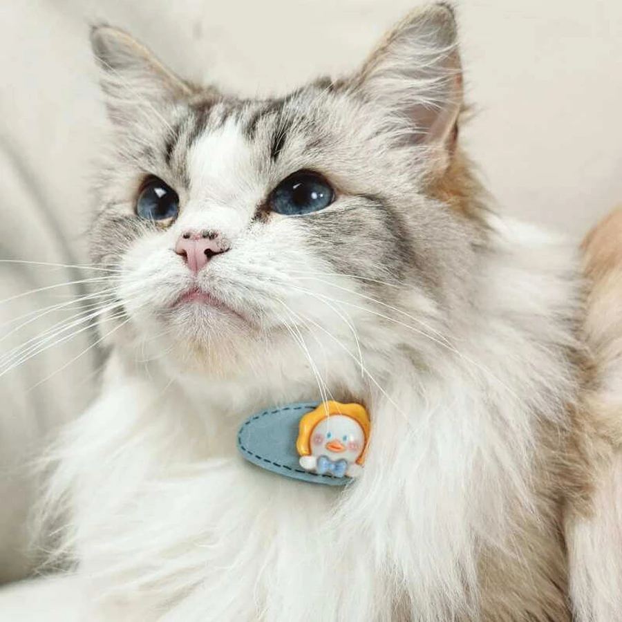 M-Pets Glam -Набор заколок (мишка и уточка) для животных, 2 шт: цены и характеристики