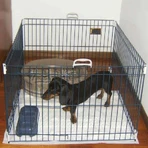 Ferplast (Ферпласт) Dog Training - Загін-манеж для собак дрібних порід, 80x80x62 см: ціни та характеристики