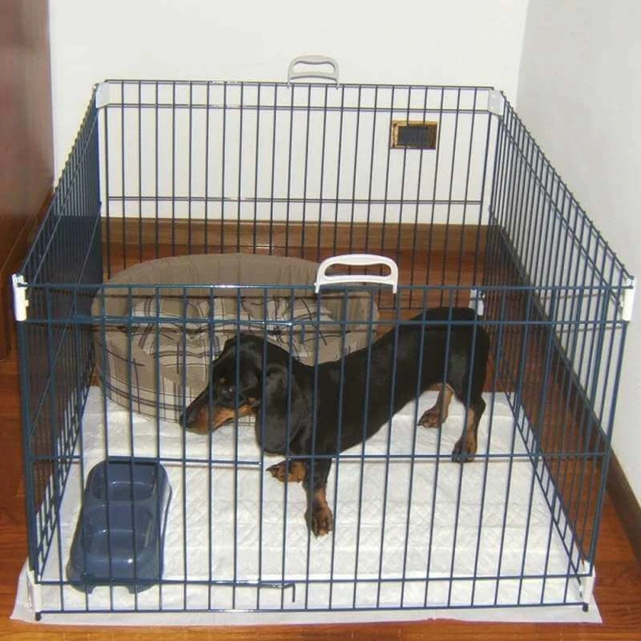 Ferplast (Ферпласт) Dog Training - Загін-манеж для собак дрібних порід, 80x80x62 см: ціни та характеристики