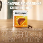 Эссенциале форте Н капсулы по 300 мг №90 (10х9): цены и характеристики