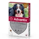 Spot-On Advantix 600 раствор для дегельминтизации собак Spot-On Advantix 600, 1 пипетка, Bayer Vet OTC