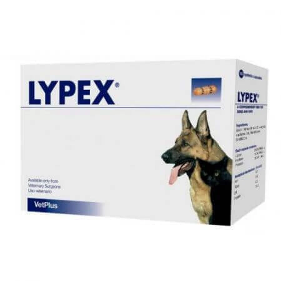 Додаткова добавка проти синдрому мальабсорбції у собак та котів Lypex, 60 капсул, VetPlus: ціни та характеристики