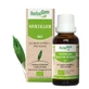 Herbalgem Буржуйська чорниця 30мл