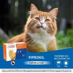 Клемент-Текан Фипрокил средство от блох и клещей для кошек от 1 кг и старше - 4 пипетки 50 мг 50 мг: цены и характеристики