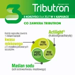 Набор Трибутрон, 2 x 30 капсул: цены и характеристики