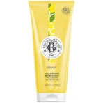 Roger & Gallet Cedrat, гель для душа, 200 мл + бесплатная сумка: цены и характеристики