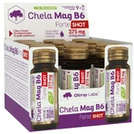 Olimp Chela-Mag B6 Forte Shot, ампули, вишневий смак, 9 х 25 мл ЗАБРУДНЕНА УПАКОВКА: ціни та характеристики