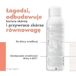 Аэрозоль AVENE Thermal Spring Water, 150 мл: цены и характеристики