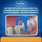 Зубні нитки DENTEK Kids Зубні зубочистки Fyn Flossers, 40шт: ціни та характеристики