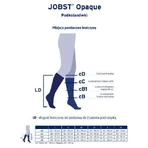 JOBST OPAQUE длинные компрессионные носки CCL2 карамельного цвета, размер 6 ZP: цены и характеристики