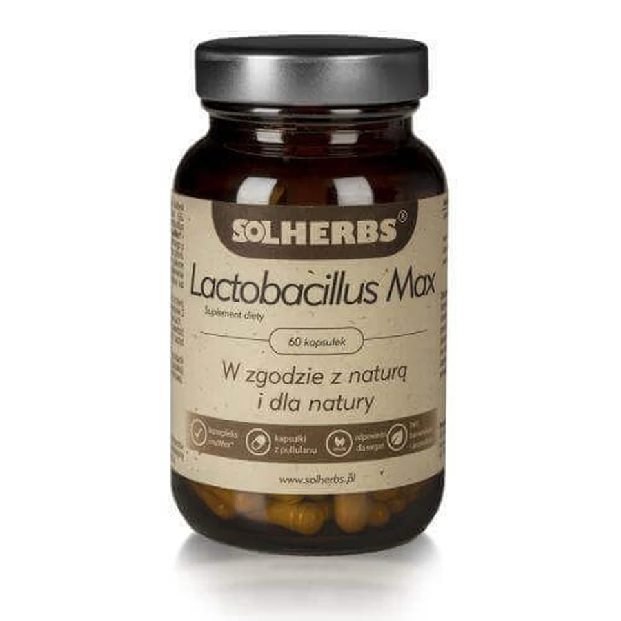 SOLHERBS Lactobacillus Max, 60 капсул: цены и характеристики