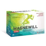 Goodwill MAGNEWILL Rapid 375мг лимон-ананас, 20 пакетиків