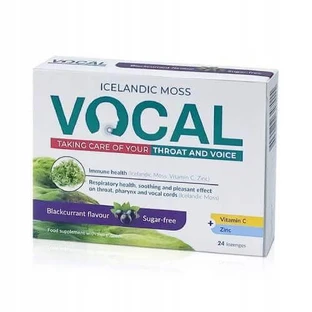 Мягкие пастилки VOCAL со вкусом черной смородины, 24 шт.