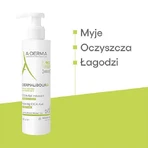 Гель для умывания A-DERMA DERMALIBOUR+ CICA, 200 мл: цены и характеристики
