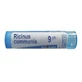 BOIRON Ricinus Communis 9 CH гранули 4 г (приблизно 80 гранул)