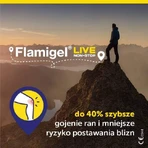 Гідроколоїдний гель Фламігель, 50 г: ціни та характеристики
