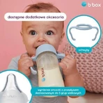 B.BOX Бутылочка для кормления младенца (пион), 240 мл: цены и характеристики