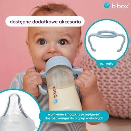 B.BOX Бутылочка для кормления младенца (пион), 240 мл: цены и характеристики