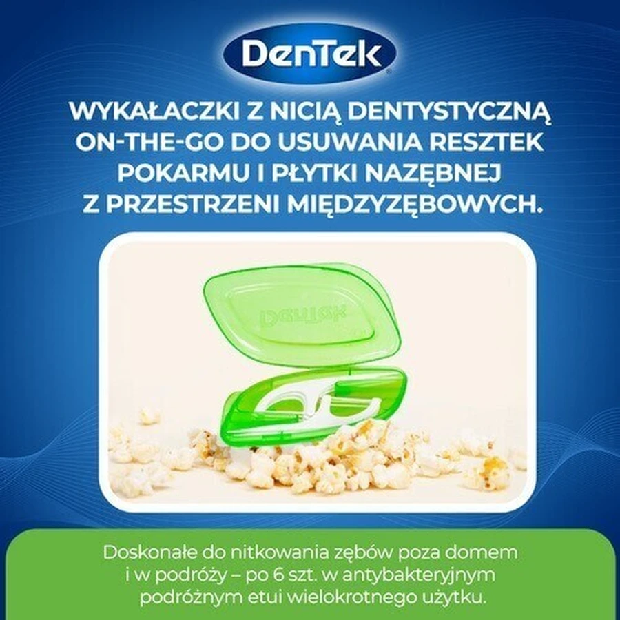 Зубная нить DENTEK Зубочистки на ходу, 2х6шт: цены и характеристики