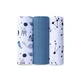 EGA KIDS Муслиновые пеленки 60х80см комплект №35 (6377), 3шт