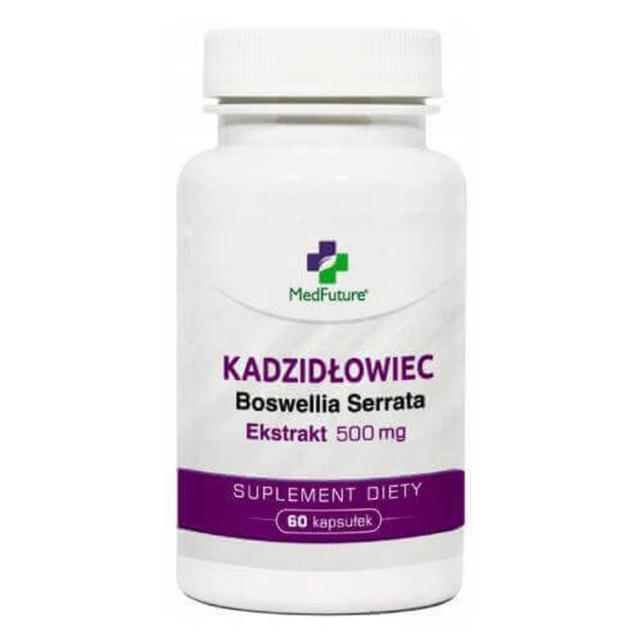 MedFuture Экстракт ладана Boswellia serrata 500 мг, 60 капсул: цены и характеристики