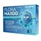 FLORA MAX GG, 20 капсул