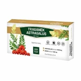 GINSENG Astragalus экстракт астрагала, 10х10 мл