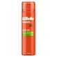 Гель для гоління Gillette Fusion з мигдалевою олією для чутливої шкіри, 200 мл