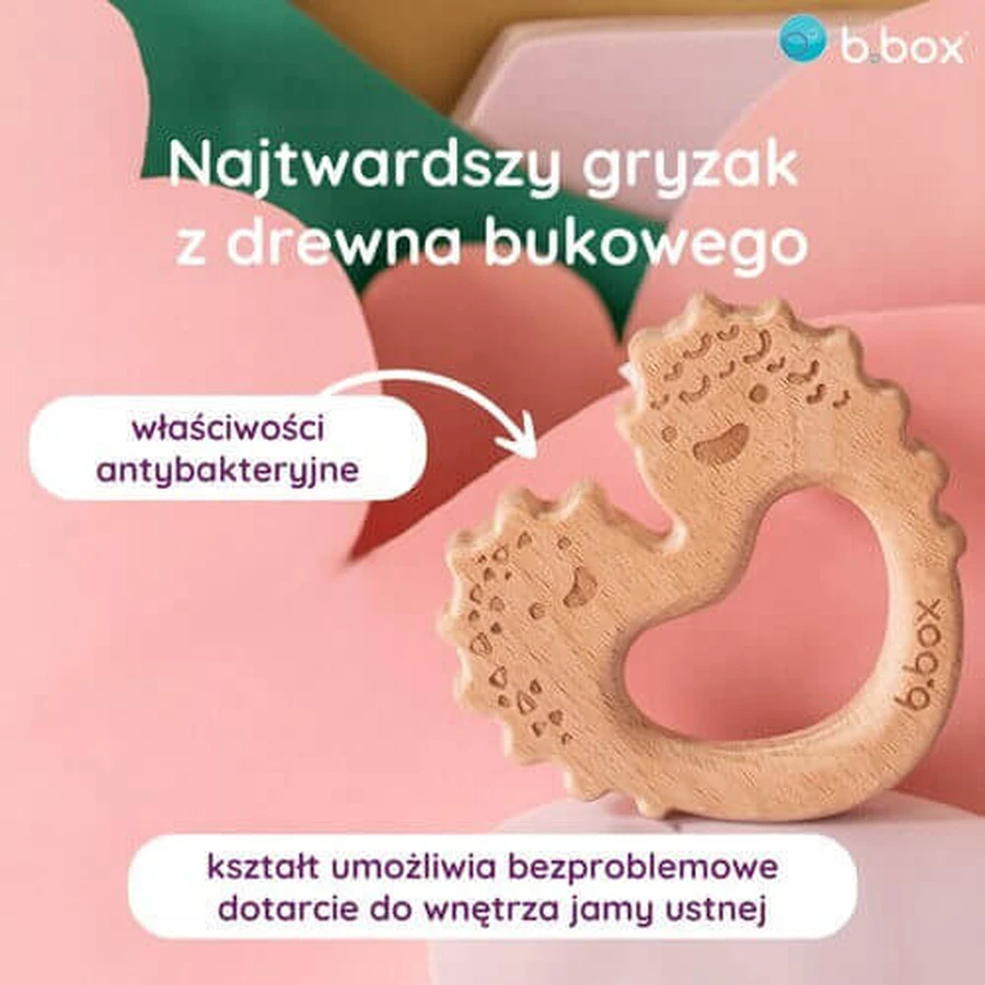 Прорезыватель B.BOX Sage trio: цены и характеристики