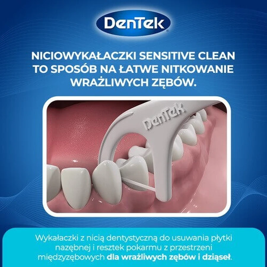 Зубная нить DENTEK Зубочистки Sensitive Clean, 40 шт.: цены и характеристики