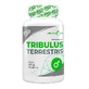 6Pak Nutrition Tribulus Terrestris, 90 капс.
