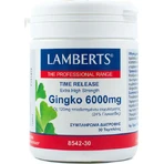 Lamberts Time Release Ginkgo 30 файлів: ціни та характеристики
