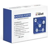 Ayurcare Kadens Forte добавка для здоровья глаз 30 капс