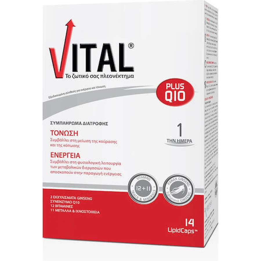 Vit'All+ Q10 Мультивітамінний комплекс для підтримки енергії та імунної системи 40 мг 14 капс.: ціни та характеристики