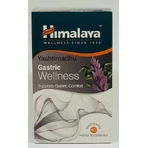 Himalaya Wellness Yashtimandhu Gastric Wellness 60 файлов: цены и характеристики