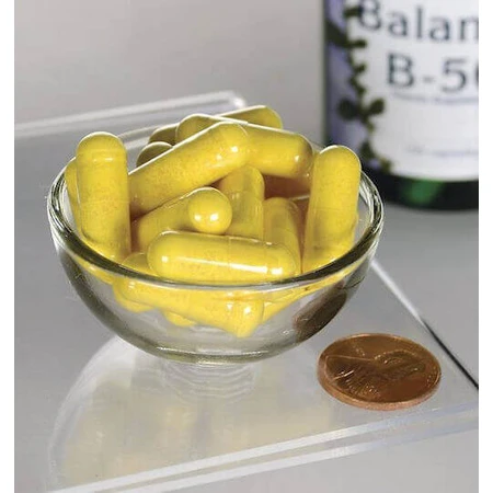 Swanson Balance Vitamin для энергии, иммунной и нервной системы 100 капс: цены и характеристики