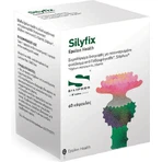 Epsilon Health Silyfix 60 капс: цены и характеристики
