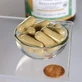 Swanson Экстракт корня шатавари 120 капс