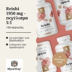 MycoWay Экстракт рейши 5:1 1950 мг 180 капс: цены и характеристики