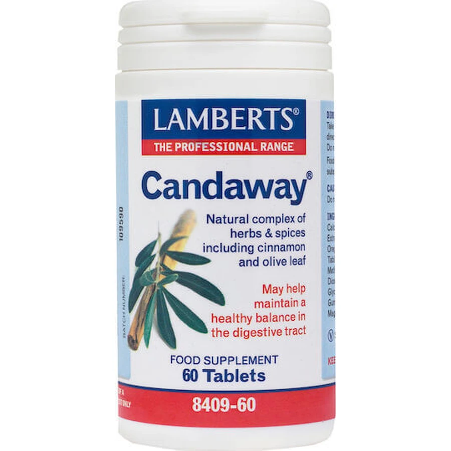 Lamberts Candaway 60 файлов: цены и характеристики
