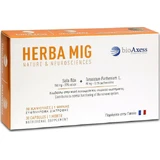 BioAxess Herba Mic Memory Supplement 30 капс