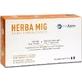 BioAxess Herba Mic Memory Supplement 30 капс.