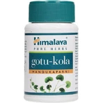 Himalaya Wellness Gotu Kola Gotu Kola Mandukaparni 60 капс: цены и характеристики