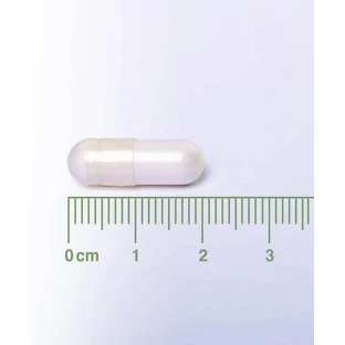 Lamberts Neuro-logical Plus Горох 400 мг Харчова добавка Спеціальна 60 капс.