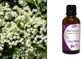 Nature &amp; Body Настойка черной бузины 50 мл Мята