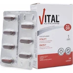 Мультивитамины Vital Plus Q10 для энергии и поддержки иммунной системы 14 софтгелей: цены и характеристики