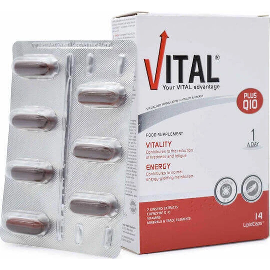 Мультивитамины Vital Plus Q10 для энергии и поддержки иммунной системы 14 софтгелей: цены и характеристики