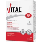 Мультивитамины Vital Plus Q10 для энергии и поддержки иммунной системы 14 софтгелей: цены и характеристики