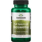 Swanson Full Spectrum Boswellia Double Strength 60 капс: цены и характеристики