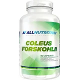 AllNutrition Coleus Forskohlii Пищевая добавка Special Special 90 капс